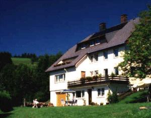 Holiday Home Apartment Bergmatten Hof Todtnau Todtnauberg