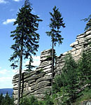 Zell im Fichtelgebirge