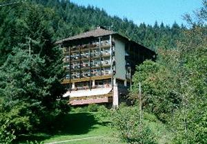Hotel Haus Wasserfall Oppenau Hotels Oppenau Pensionhotel
