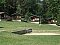 Autocamping Velký Vir: camps in Orlik nad Vltavou - Pensionhotel - Camps. HERE.