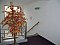 Apartment holiday home Hotelu Joker - Apartments. Place and date. HERE.