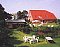 Holiday home apartment Busemann Leer