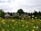 Ferienhof Zollfrank Bad Brambach / Rohrbach