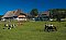 Holiday home apartment Unterhöfenhof Titisee-Neustadt