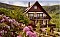 Holiday home apartment Haus Rheintalblick Sasbachwalden / Brandmatt