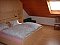 Holiday home apartment Heun Bad Waldsee / Reute