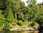 Braunlage Falken