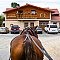 Accommodation HIPPOCLUB Lednice Accommodation HIPPOCLUB Lednice
