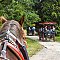 Accommodation HIPPOCLUB Lednice: pension in Lednice - Pensionhotel - Guesthouses