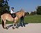 Accommodation HIPPOCLUB Lednice: pension in Lednice - Pensionhotel - Guesthouses