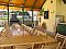 Čapkův statek accommodation Hořičky / Chlístov: pension in Horicky - Pensionhotel - Guesthouses
