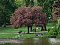 Accommodation Bed Breakfast Am Park Berlin Charlottenburg: pension in Berlin - Pensionhotel - Guesthouses