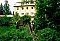 Accommodation Bed Breakfast Gästehaus Mildenau