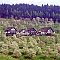 Accommodation Bed Breakfast Wandersruh Lautenbach / Sohlberg