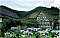 Hotel Sonne Schenkenzell